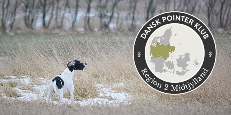 Dansk Pointer Klub fællestræning Region 2