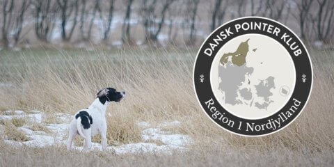 Dansk Pointer Klub fællestræning Region 1