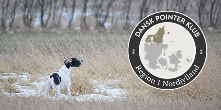 Dansk Pointer Klub fællestræning Region 1