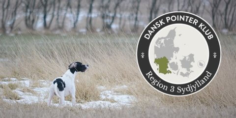 Dansk Pointer Klub fællestræning Region 3