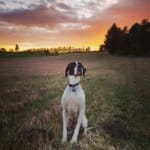 Fotokonkurrence uge 14