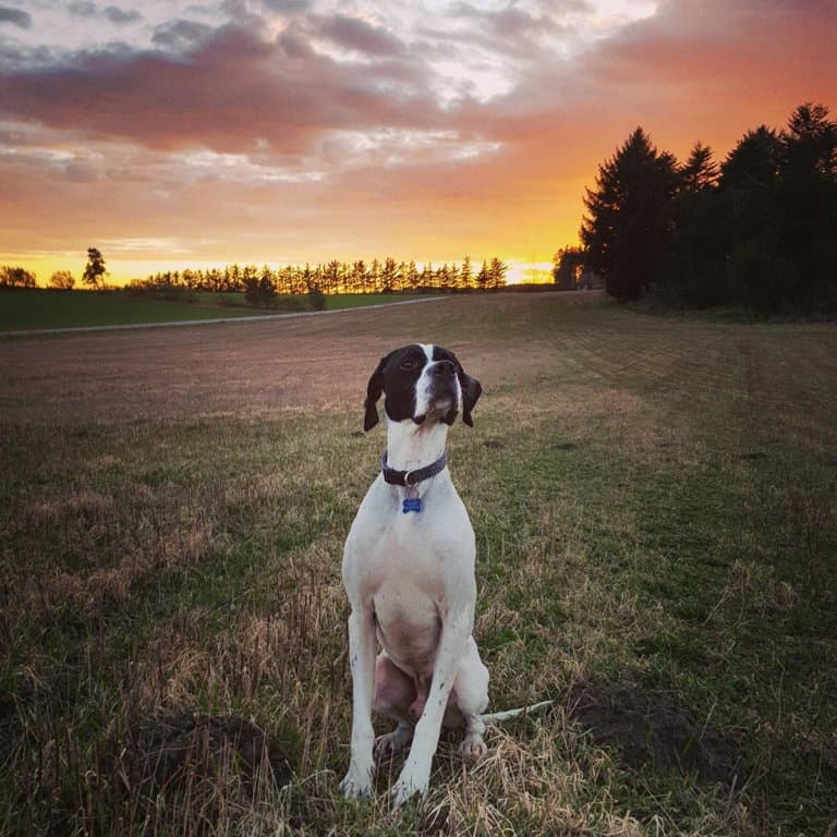 Fotokonkurrence uge 14