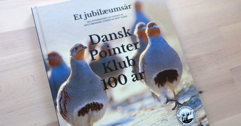 Et Jubilæumsår - Dansk Pointer Klub 100 år