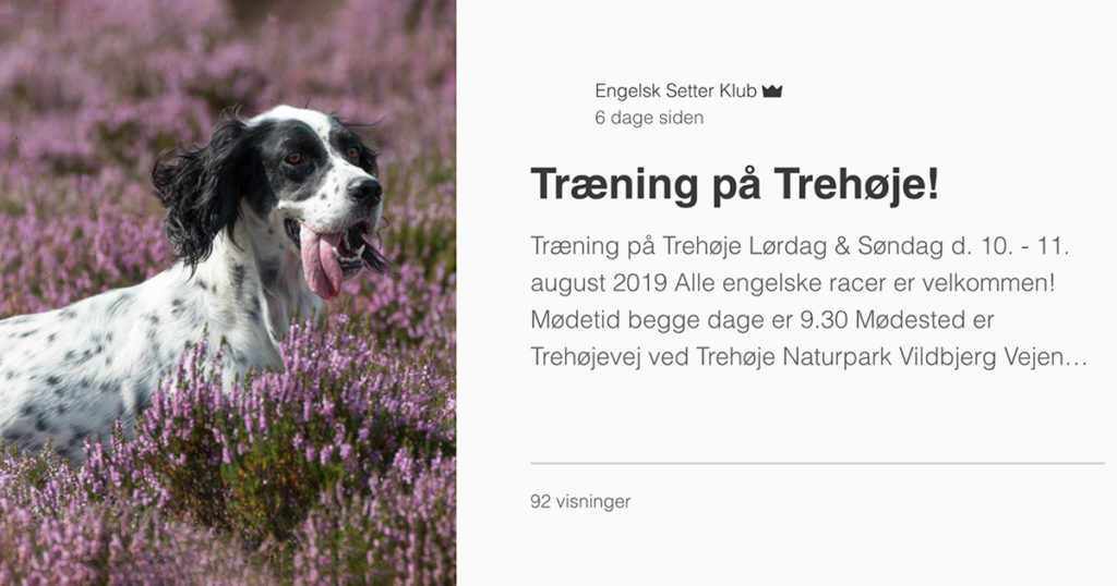 Alle Engelske racer er velkommen på Trehøje