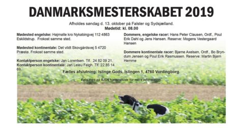 Opslag omkring Danmarksmesterskabet 2019