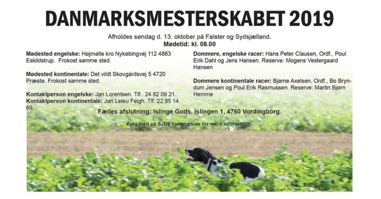 Opslag omkring Danmarksmesterskabet 2019