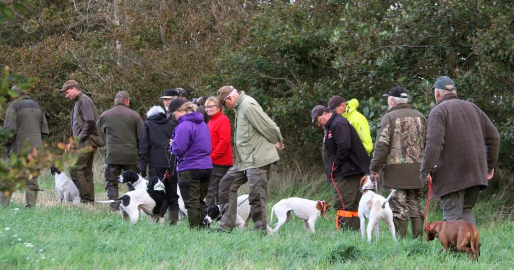 Dansk Pointer Klubs vinderklasse