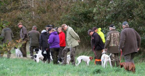 Dansk Pointer Klubs vinderklasse