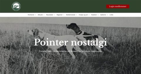 Pointer Nostalgi fra gemmerne på Museet for Stående Jagthunde