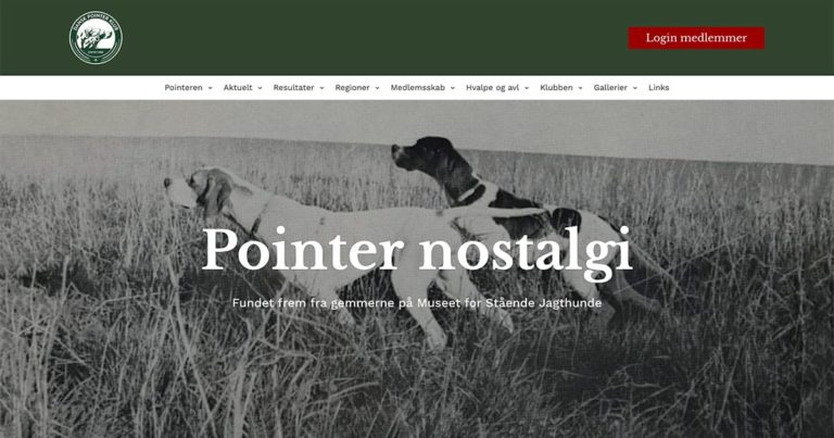 Pointer Nostalgi fra gemmerne på Museet for Stående Jagthunde