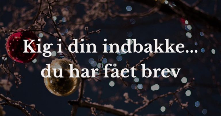 Jule - nytårs brev 2019