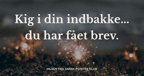Jule - nytårs brev 2020