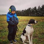 Krogsøgårds Tayler og Elias på jagt