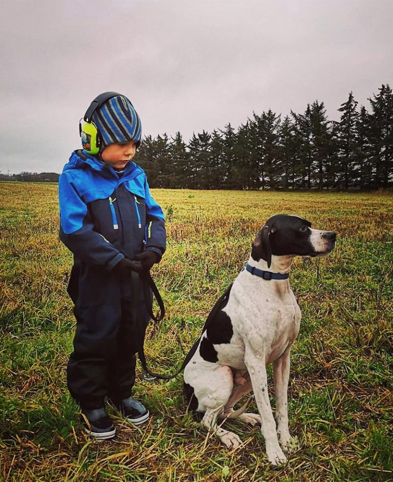 Krogsøgårds Tayler og Elias på jagt