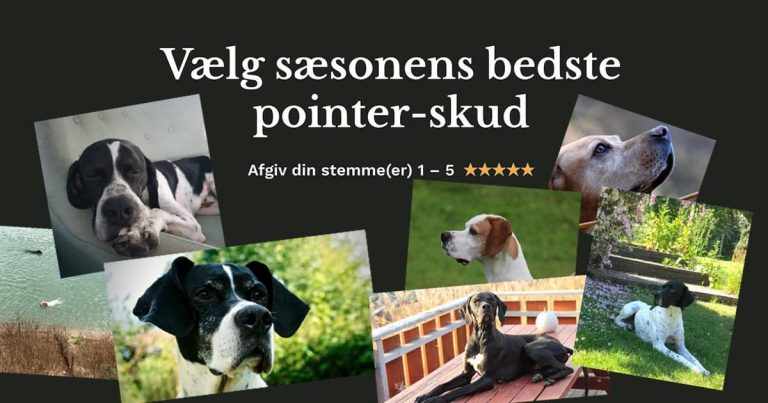 Find vinderen af årets fotokonkurrence