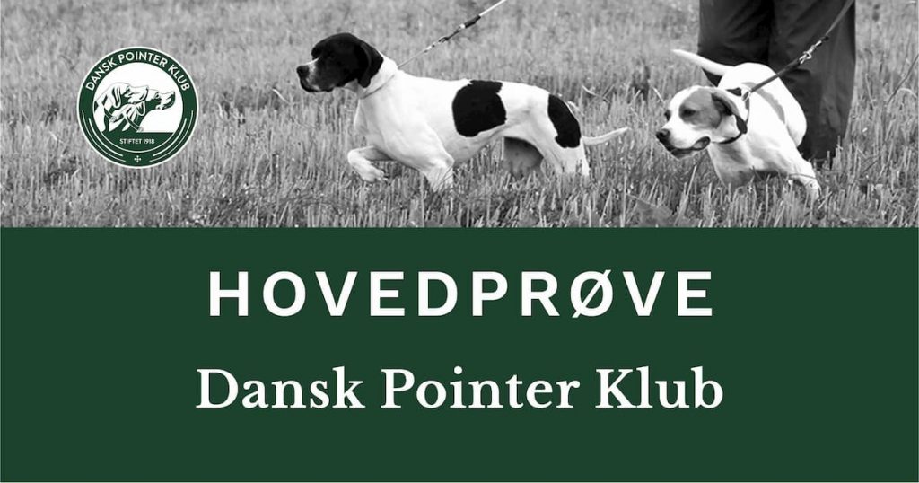 Dansk Pointer Klubs hovedprøve