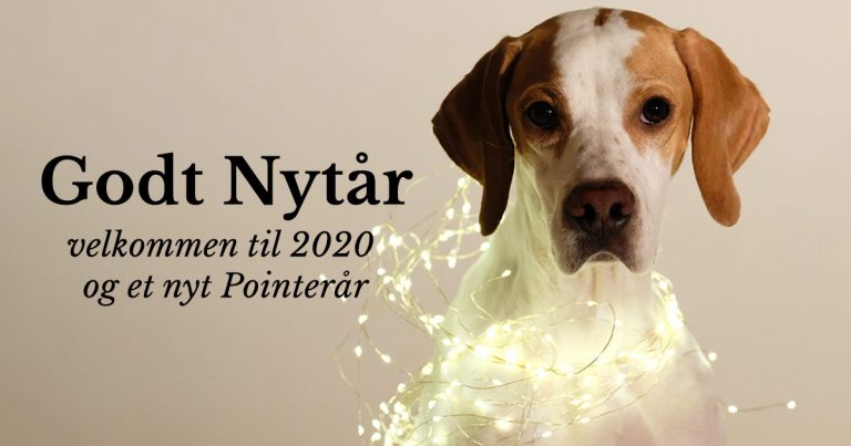 Velkommen til 2020
