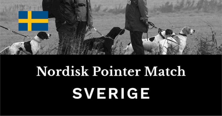 Nordisk Pointer Match, der afholdes af Sverige