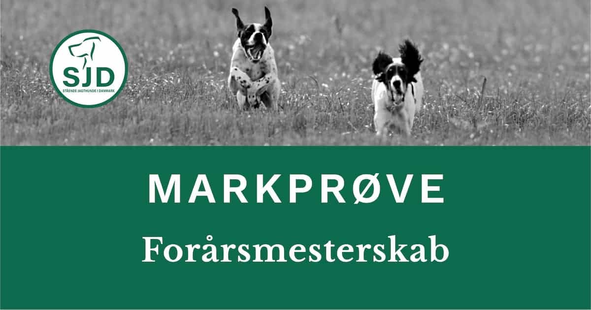 SJD - Stående Hunde i Danmark markprøve. Forårsmesterskab