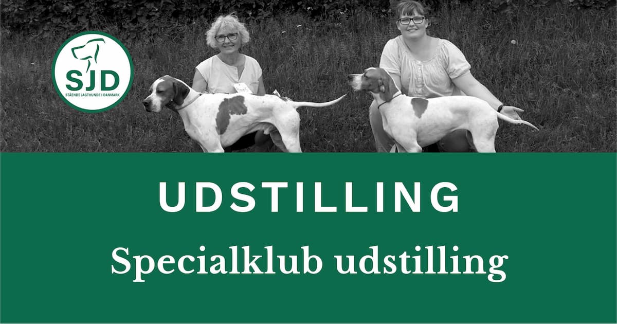 SJD - Stående Hunde i Danmark specialklub udstilling Vissenbjerg,