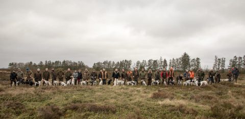 Dag 1 på Kongenshus Hede, 2020
