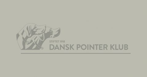 Dansk Pointer Klub