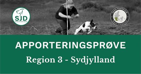 Apporteringsprøve i Region 3