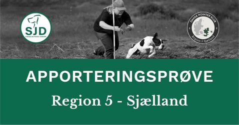 SJD afholder apporteringsprøve i Region 5