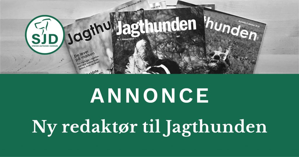 Meddelelse fra SJD - Stående Hunde i Danmark