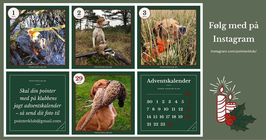 Pointerklubbens jagt-adventskalender på Instagram