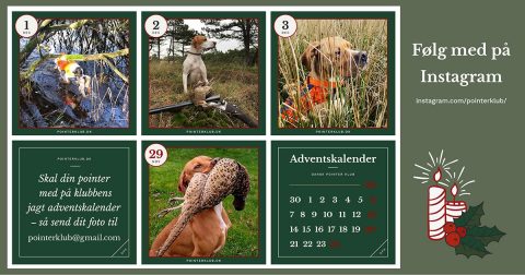 Pointerklubbens jagt-adventskalender på Instagram