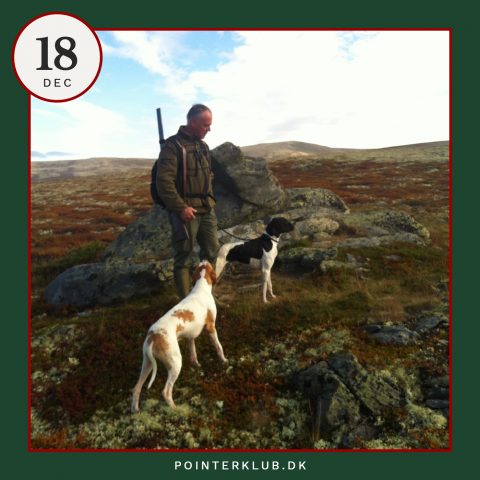 Følg Dansk Pointer Klubs jagt-adventskalenderen på Instagram.
