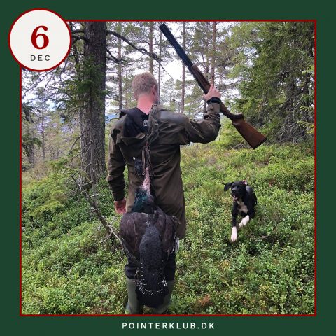 Følg Dansk Pointer Klubs jagt-adventskalenderen på Instagram.