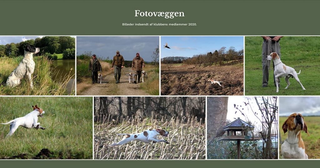 Fotovæggen medlemmernes fotos - Dansk Pointer Klub