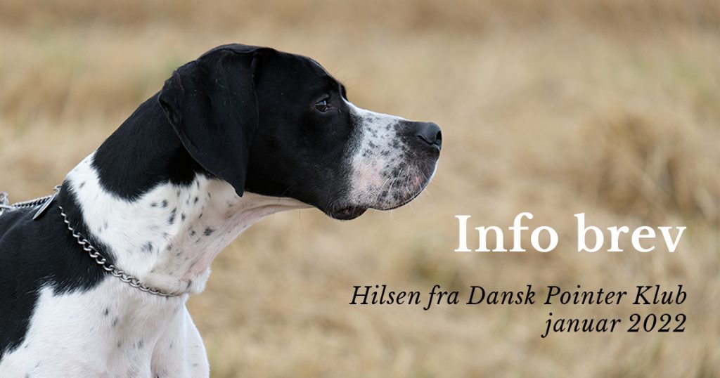 Info brev i din indboks