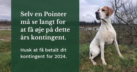 Husk at betale dit kontingent for 2024