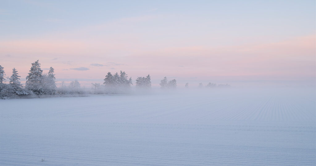 Gammeldags snevejr har ramt Danmark