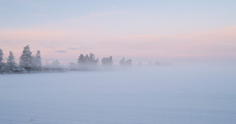 Gammeldags snevejr har ramt Danmark
