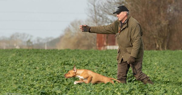 Dansk Pointer Klubs formand, Flemming Fuglede Jørgensen, fylder 70 år mandag den 17. april