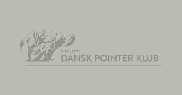 Dansk Pointer Klub