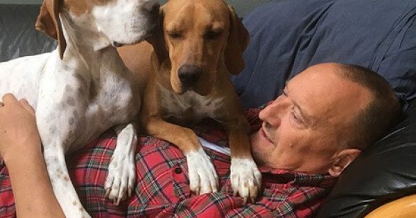 Sekretær i Dansk Pointer Klub, Peter Due 60 år